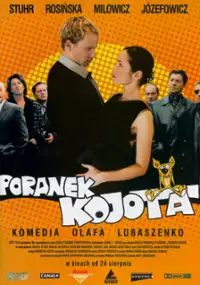 Poranek kojota