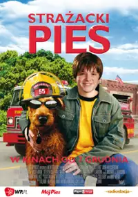 Strażacki pies