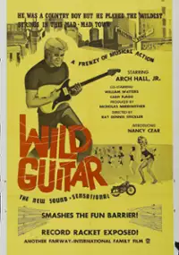 Wild Guitar