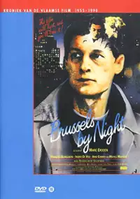 Bruksela nocą