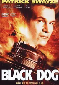 Czarny pies
