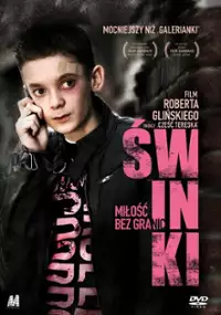 Świnki