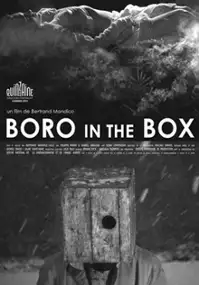 Boro w pudełku