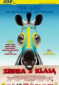 Zebra z klasą