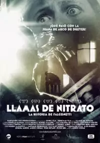 Llamas de Nitrato