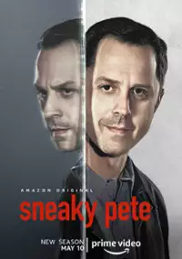 Pete kombinator