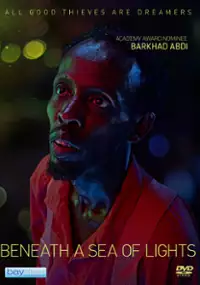 Beneath a Sea of Lights