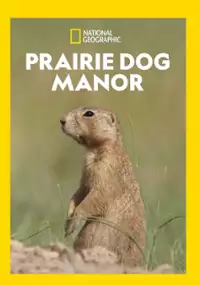 Kraina piesków preriowych