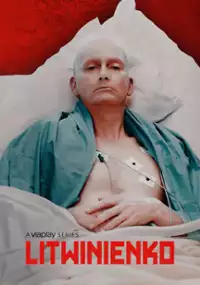 Litwinienko