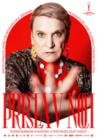 Przyszła w nocy
