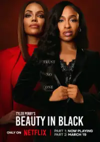 Tyler Perry's Beauty in Black