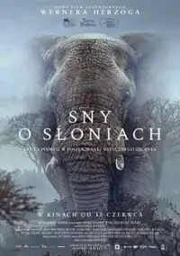 Sny o słoniach