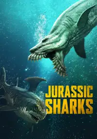 Jurassic Sharks